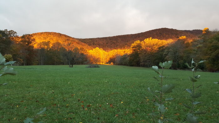 Blue Ridge Mountain Retreat  Blowing Rock, NC  October 16 through the 19th, 2025. Hosted by Gregory Possman and Catherine Allon.